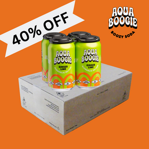 Aqua Boogie Ginger Lime Seltzer